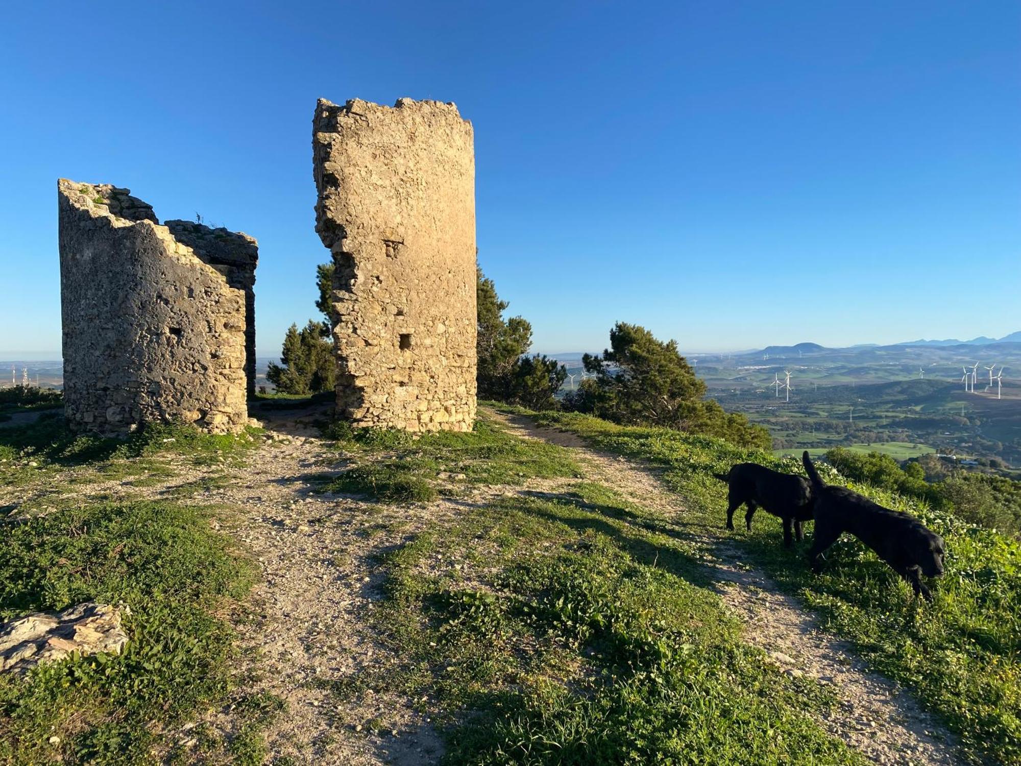 Victoria Seis Hotel Medina-Sidonia Eksteriør billede