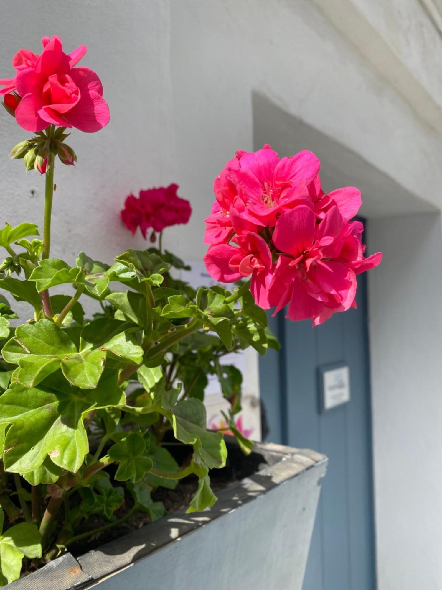 Victoria Seis Hotel Medina-Sidonia Eksteriør billede